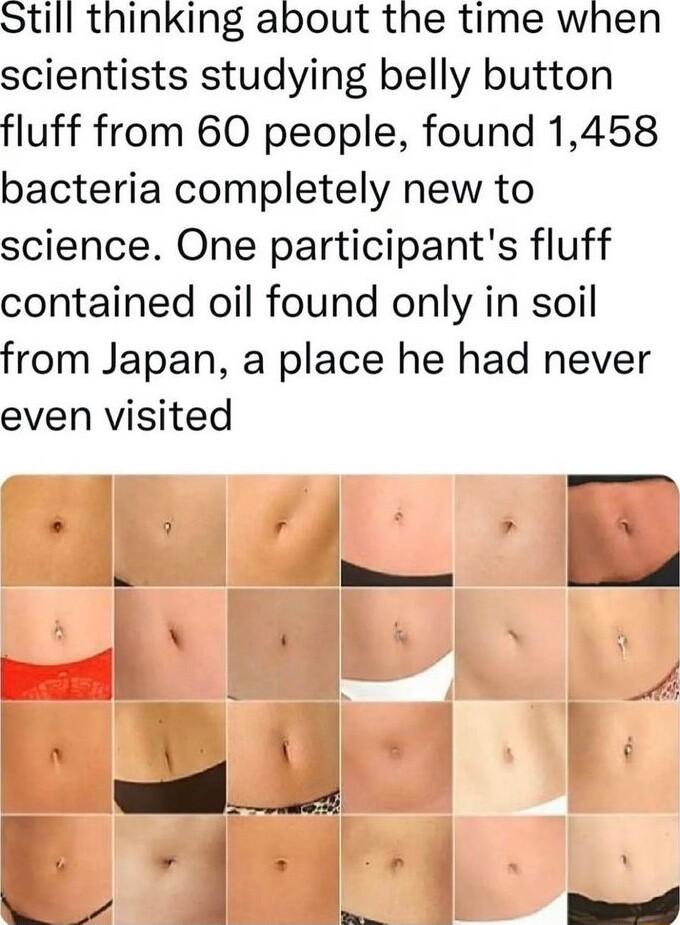 Still thinking about the time when scientists studying belly button fluff from 60 people found 1458 bacteria completely new to science One participants fluff contained oil found only in soil from Japan a place he had never even visited