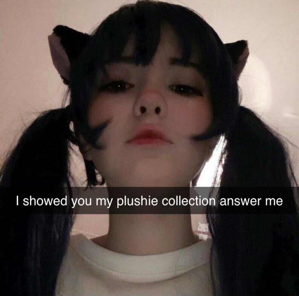 showed you my plushie collecti n answer me L