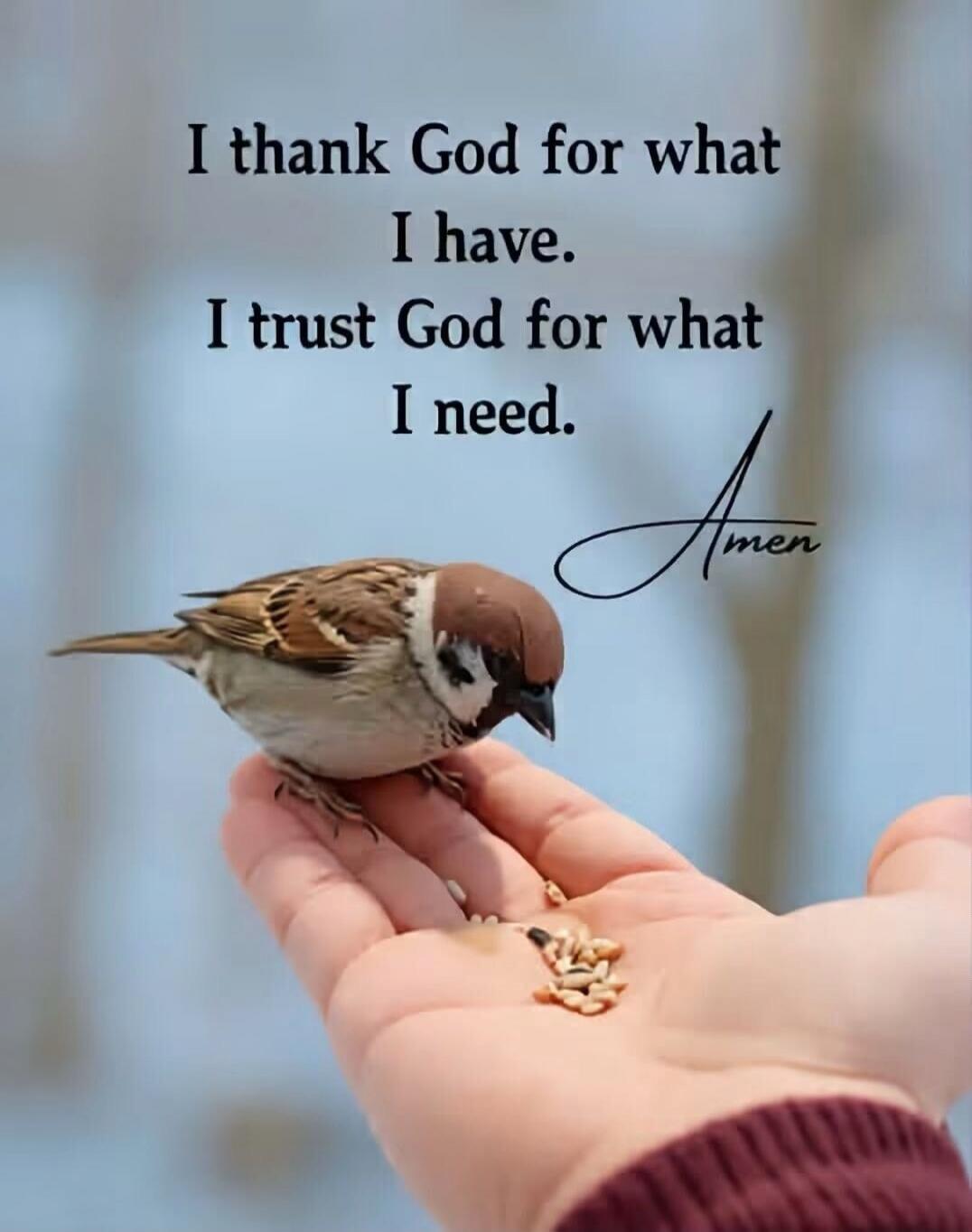 I thank God for what I have. I trust God for what I need. Amen
