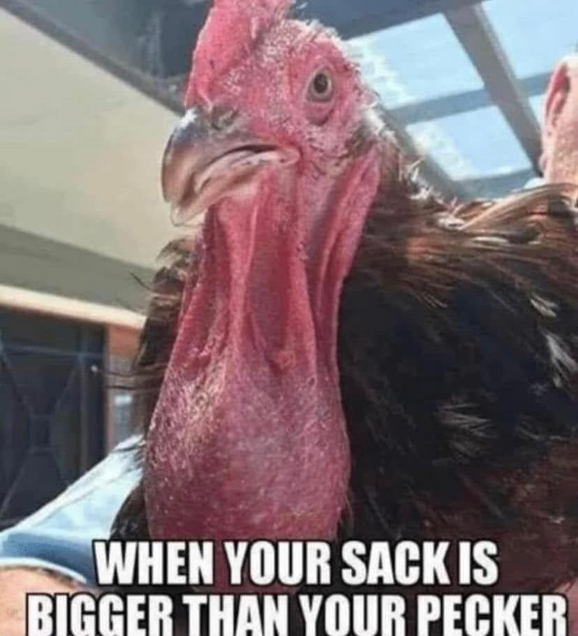 WHEN YOUR SACK IS BIGGER THAN YOUR PECKER