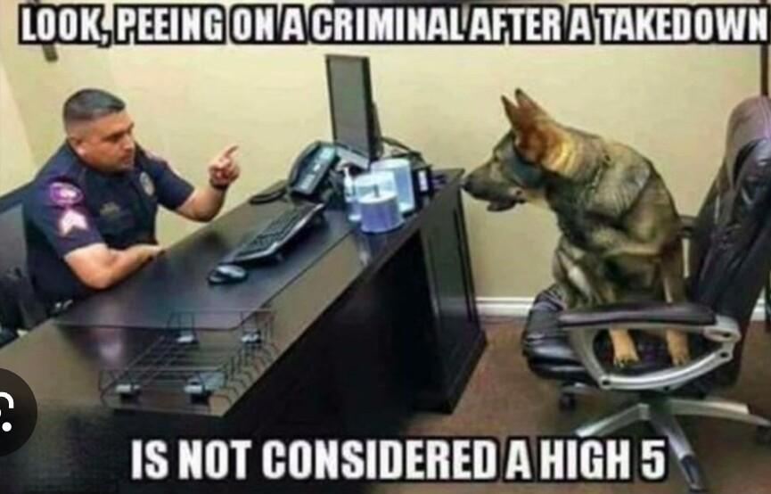 LOOKPEEINGIONACRIMINALAFTERATTAKEDOWN TR i 1S NOT CONSIDERED A HIGH 5