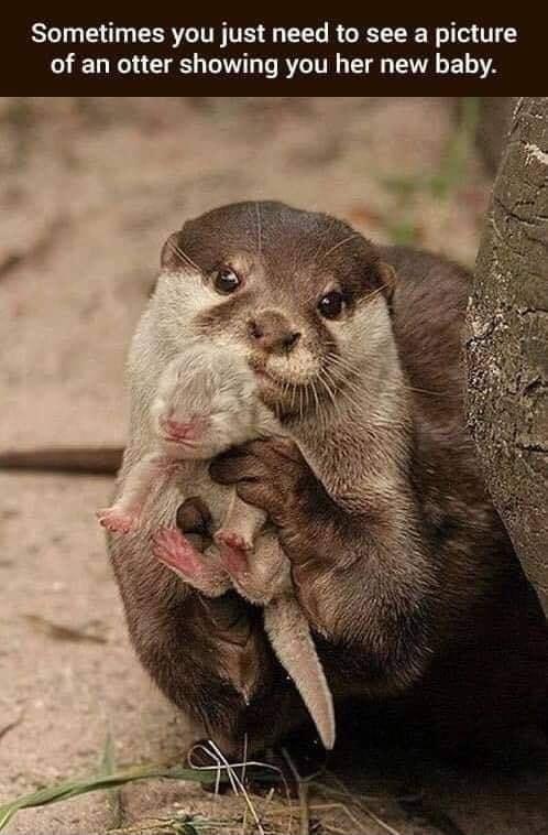 Sometimes you just need to see a picture LT G T o R ITI L VAL E LA