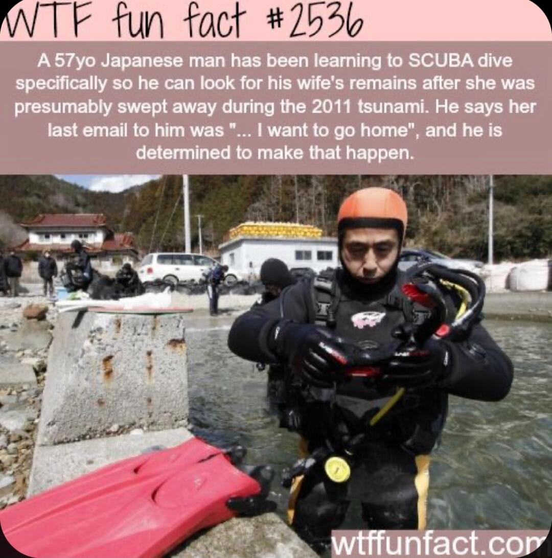 WTF fun foct 2556