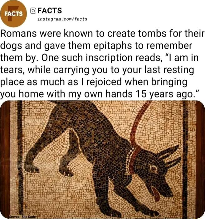 ACTS stagras confacts Romans were known to create tombs for their dogs and gave them epitaphs to remember them by One such inscription reads l am in tears while carrying you to your last resting place as much as rejoiced when bringing you home with my own hands 15 years ago