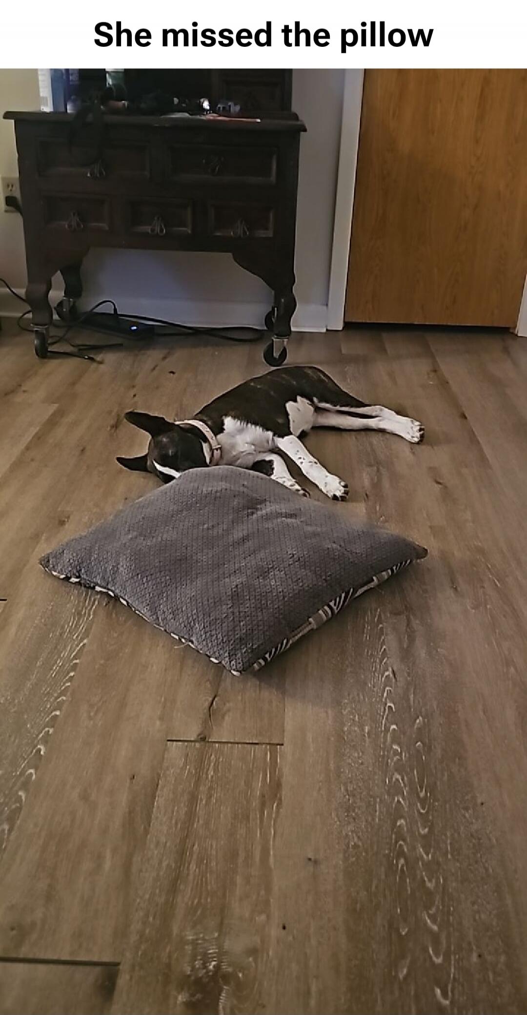 She missed the pillow
Session ID: 1105562.