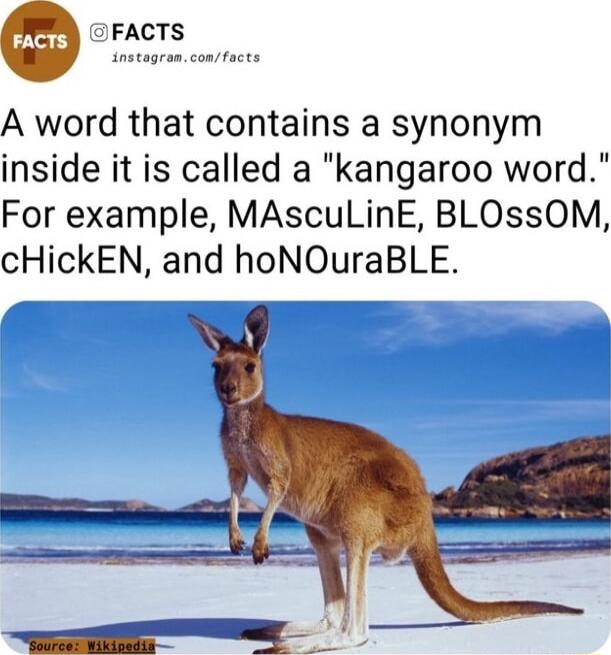 JFACTS instagranconfacts A word that contains a synonym inside it is called a kangaroo word For example MAscuLinE BLOssOM cHickEN and hoNOuraBLE