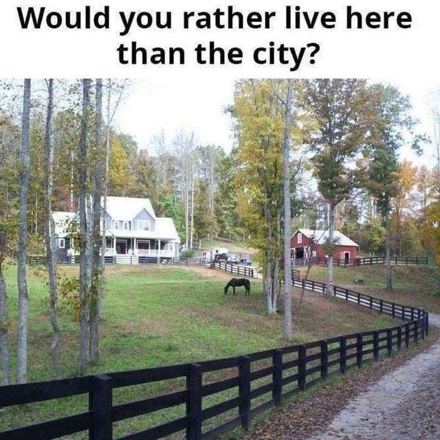 Would you rather live here than the city