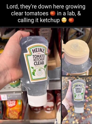 Lord theyre down here growing clear tomatoes in a lab calling it ketchup