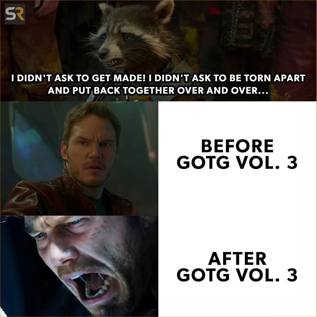 IDIDNT ASK TO GET MADE DIDNT ASK TO BE TORN APART AND PUTBACK TOGETHER OVER AND OVER BEFORE GOTG VOL 3 oz Q K AFTER S GOTG VOL 3
