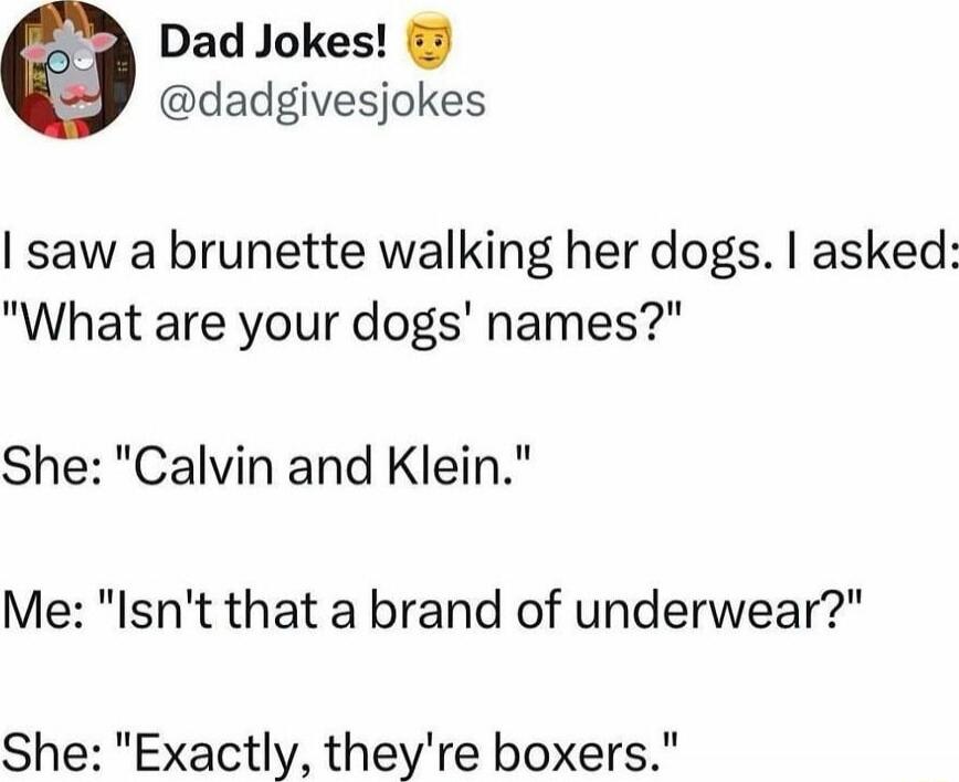 I saw a brunette walking her dogs. I asked: 'What are your dogs' names?' She: 'Calvin and Klein.' Me: 'Isn't that a brand of underwear?' She: 'Exactly, they're boxers.'