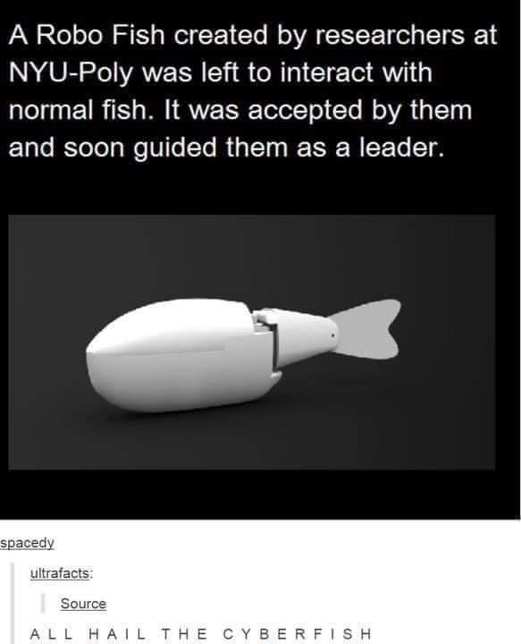 aN 2 o oTo it g WotF 1 Yo M VA TT T ol g ST NN U Sl VAN Y R CleTe Y1 normal fish It was accepted by them ETale IETeTo g Mo Vile Yo R a g IR W EY To T 8
