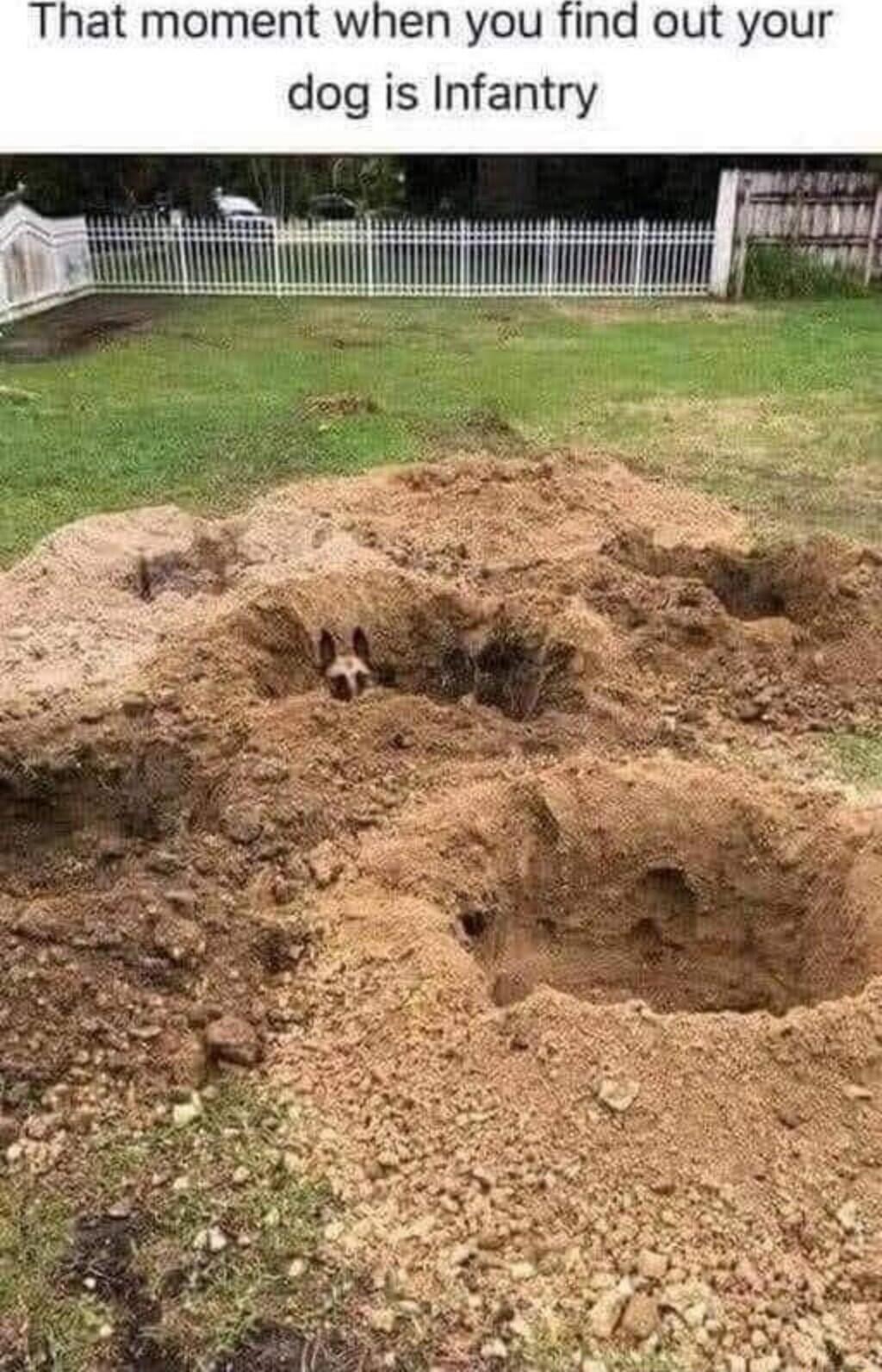 That moment when you find out your dog is Infantry a0