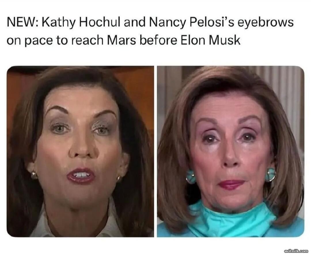 NEW: Kathy Hochul and Nancy Pelosi's eyebrows on pace to reach Mars before Elon Musk