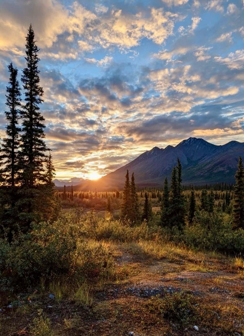 The sun sets behind a mountain range, casting a warm glow over a forest of pine trees and low-lying brush. The sky is filled with dramatic clouds, painted in hues of orange, pink, and blue.