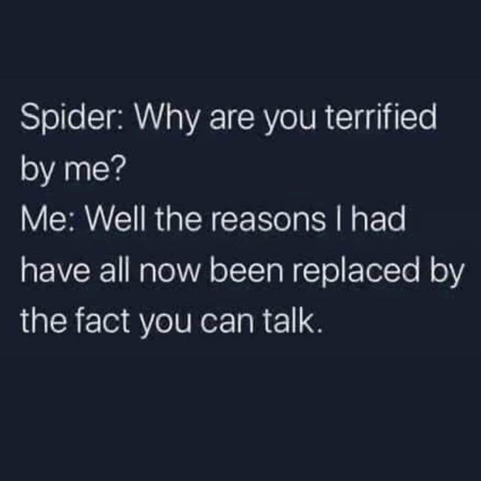 Spider: Why are you terrified by me? Me: Well the reasons I had have all now been replaced by the fact you can talk.
