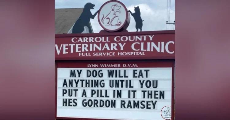 CARROLL COUNTY iVETERINARY CLINIC UL SERVICE HOSPITAL MY DOG WILL EAT ANYTHING UNTIL YOU PUT A PILL IN IT THEN HES GORDON RAMSEY