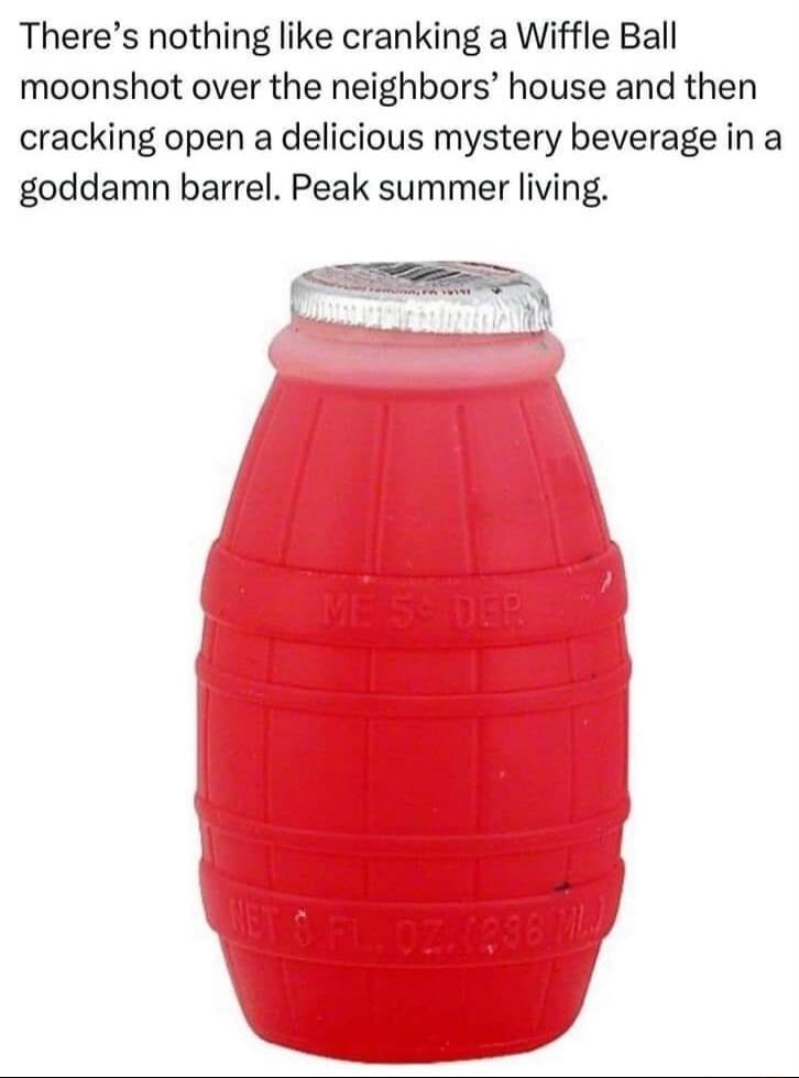 Theres nothing like cranking a Wiffle Ball moonshot over the neighbors house and then cracking open a delicious mystery beverage in a goddamn barrel Peak summer living