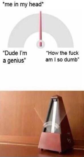 *me in my head* Dude I'm a genius. How the fuck am I so dumb.