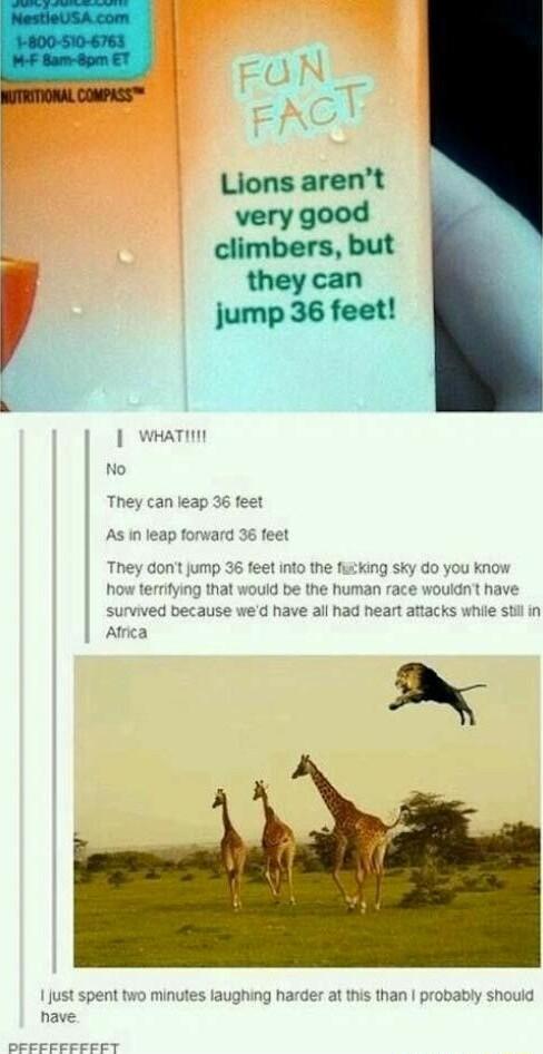 dont jump terrfying that w survived Africa atthis than probably should