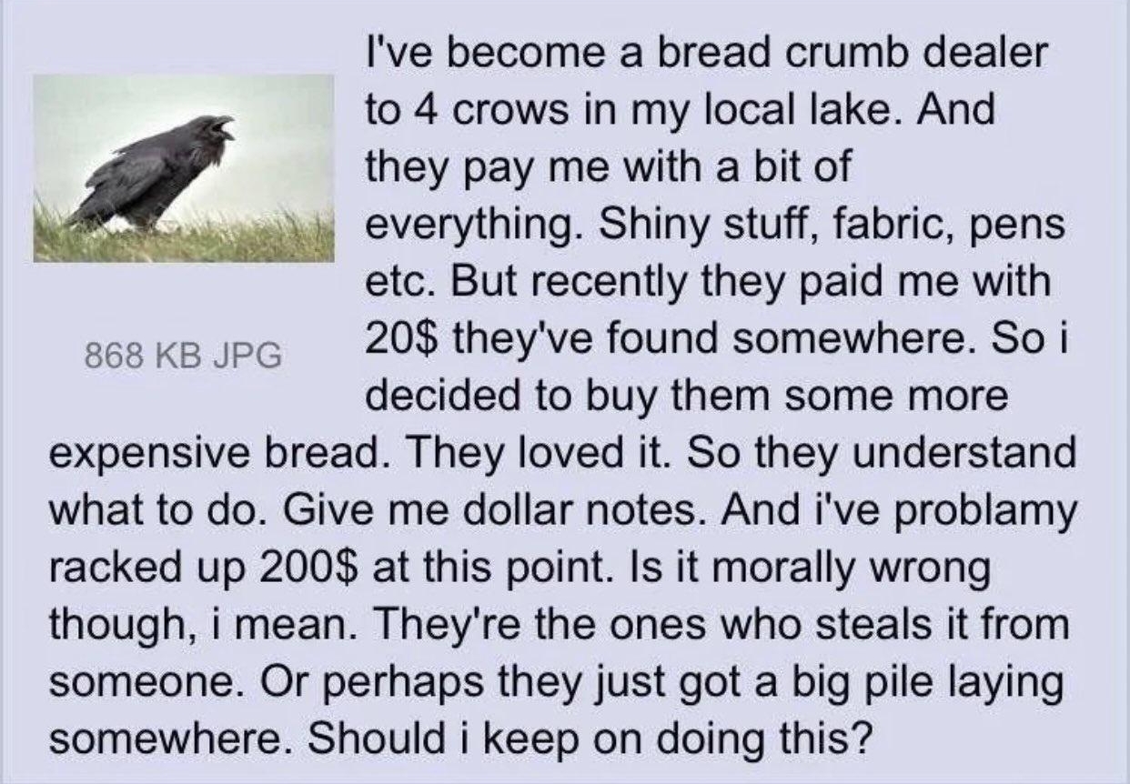 Anonymous 111317Mon153003 No18926794 Ive become a bread crumb dealer to 4 crows in my local lake And they pay me with a bit of everything Shiny stuff fabric pens etc But recently they paid me with sss ke e 20 theyve found somewhere So i decided to buy them some more expensive bread They loved it So they understand what to do Give me dollar notes And ive problamy racked up 200 at this point Is it m