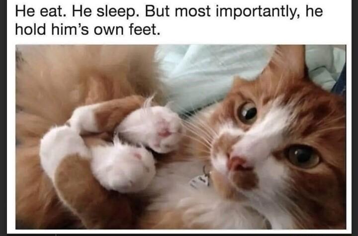 He eat He sleep But most importantly he hold hims own feet