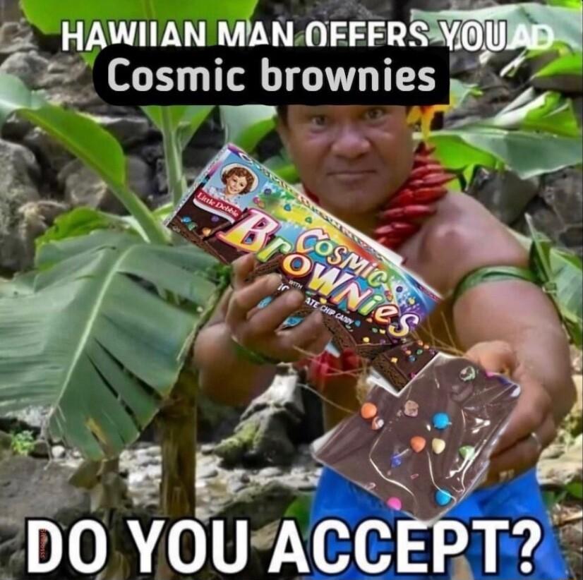 HAWIIAN MAN mmam Csmlc brownies I VX s