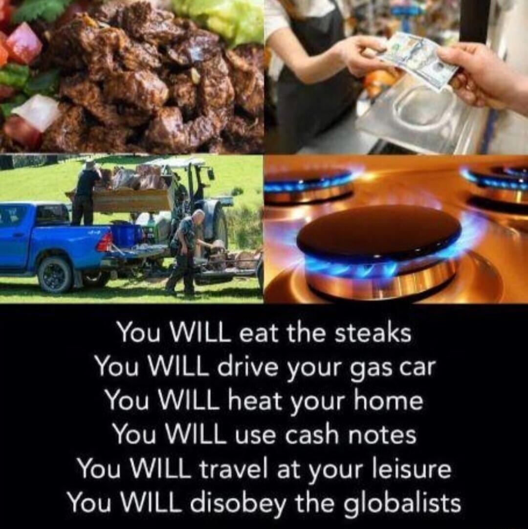 You WILL eat the steaks You WILL drive your gas car A CIVRY N TR VIV TeT 1 ACIRNIVEENEEL I TTES You WILL travel at your leisure You WILL disobey the globalists
