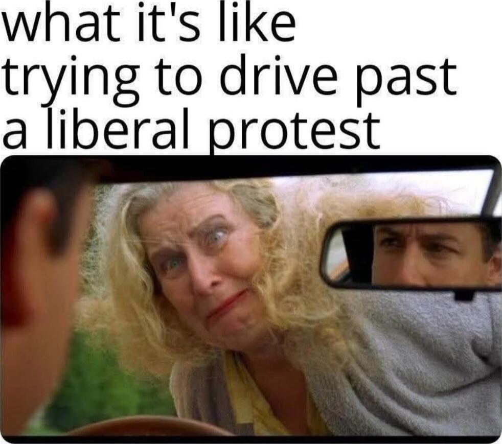 what it's like trying to drive past a liberal protest