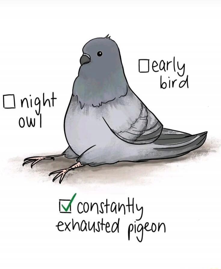 night owl, early bird, constantly exhausted pigeon (checked)