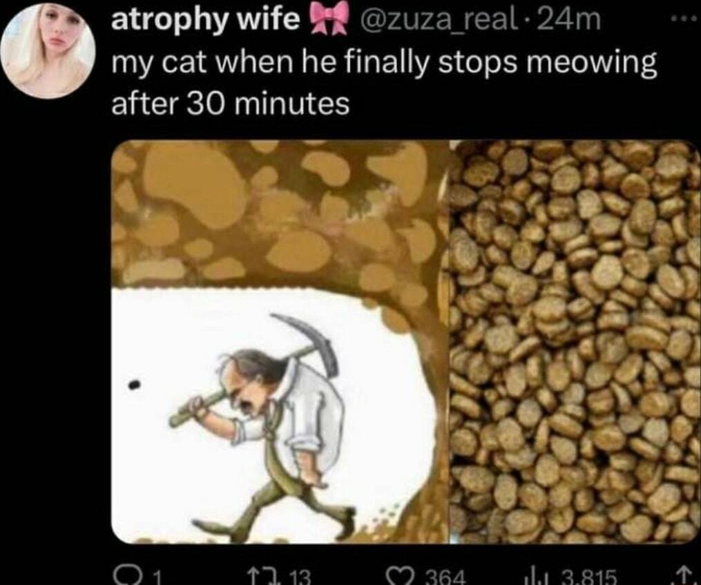 ELGTAVICE v 4 my cat when he finally stops meowing ELGCIgloRnILINES