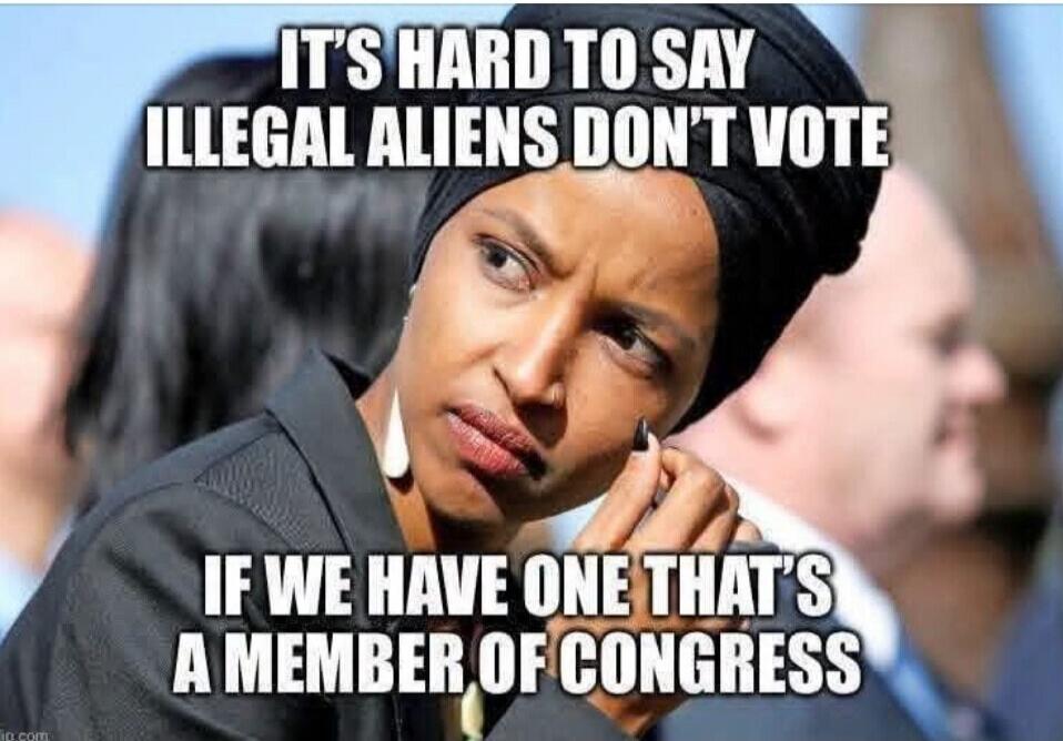IT'S HARD TO SAY ILLEGAL ALIENS DON'T VOTE IF WE HAVE ONE THAT'S A MEMBER OF CONGRESS