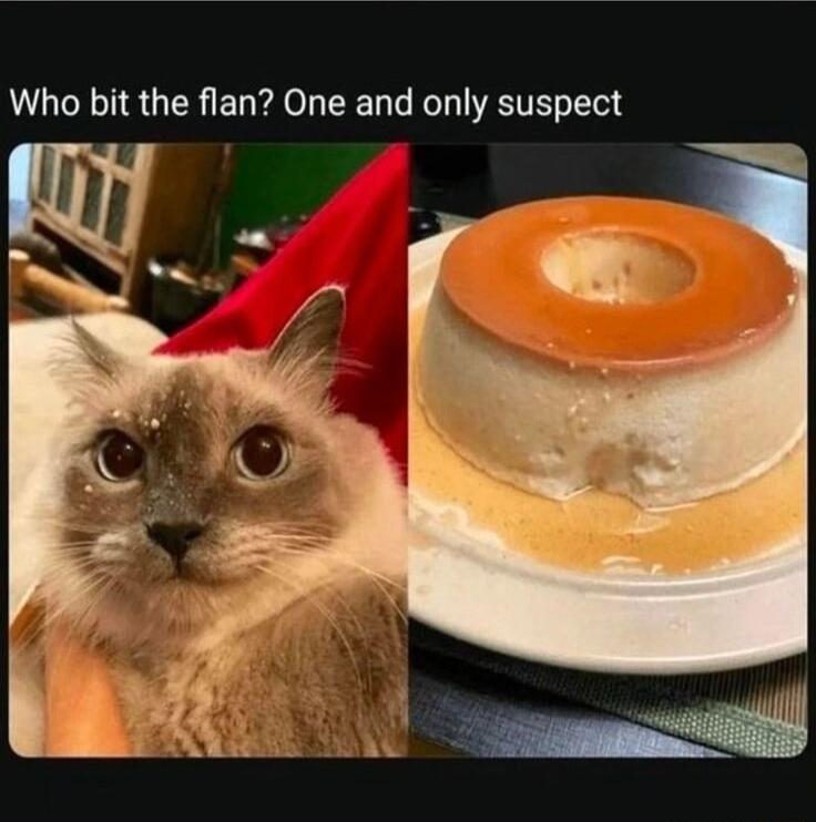 Who bit the flan One and only suspect