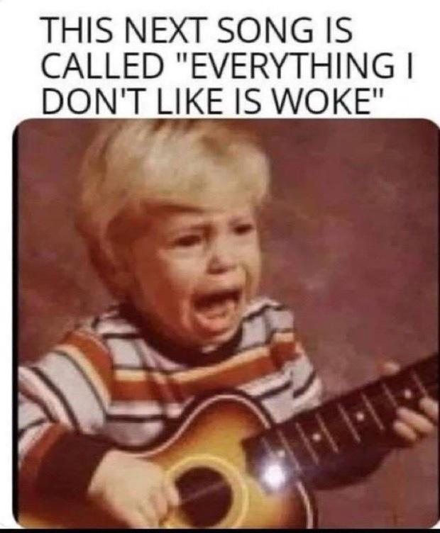 THIS NEXT SONG IS CALLED EVERYTHING DONT LIKE IS WOKE