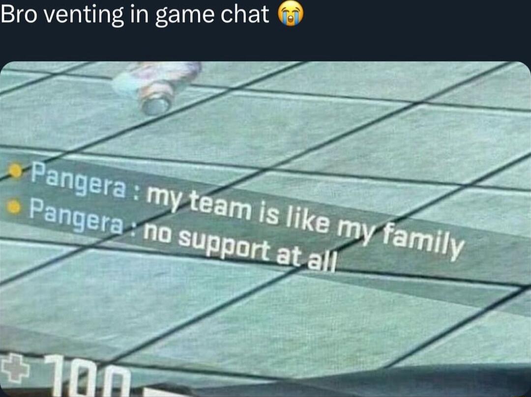 Bro venting in game chat