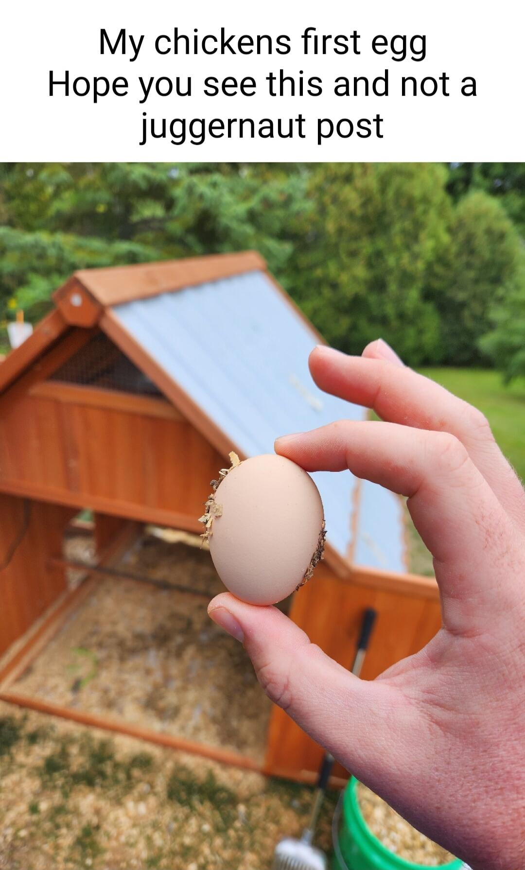 My chickens first egg Hope you see this and not a juggernaut post