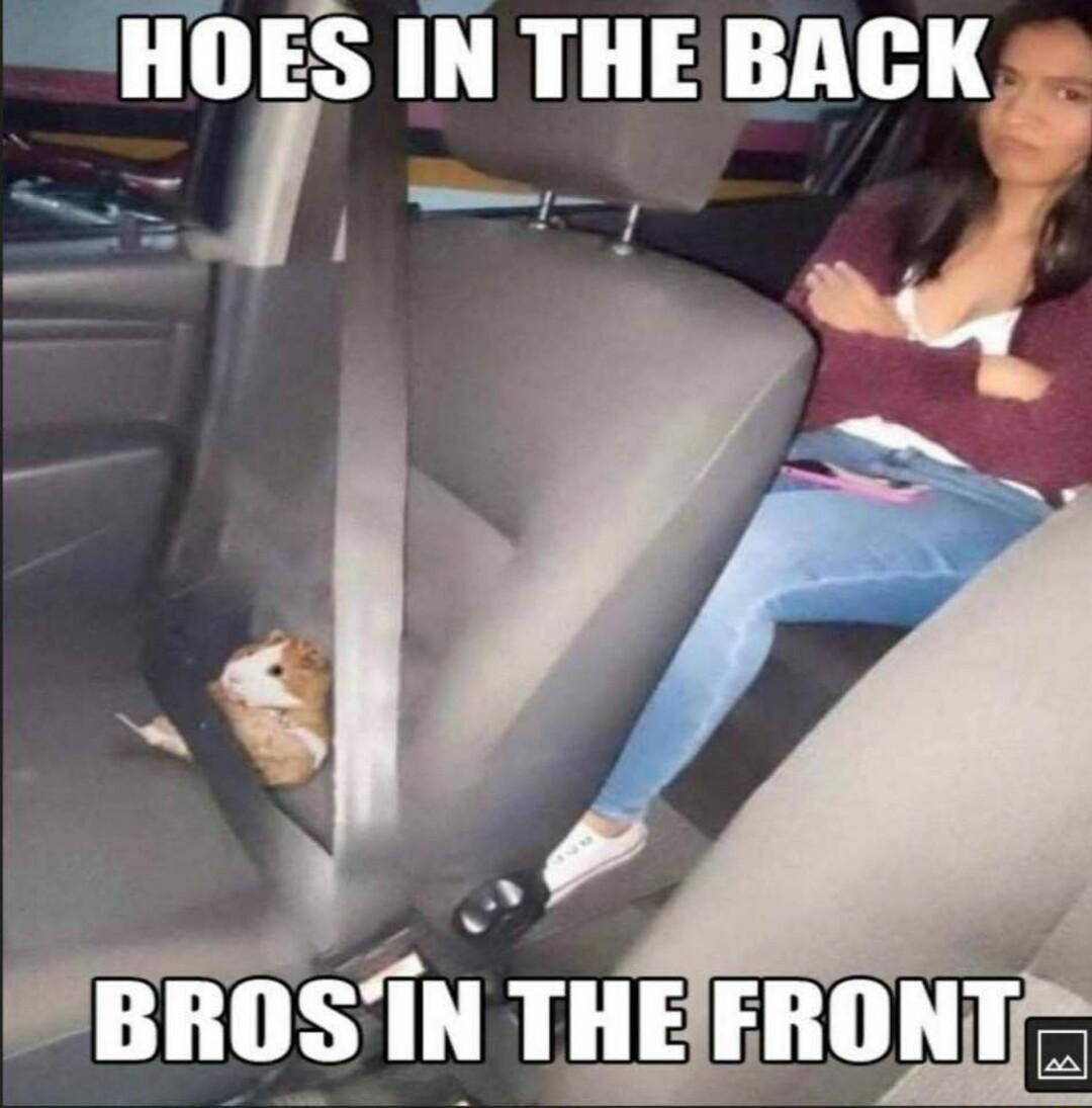 HOES IN THEB 7 BROSIN THEIFRONT