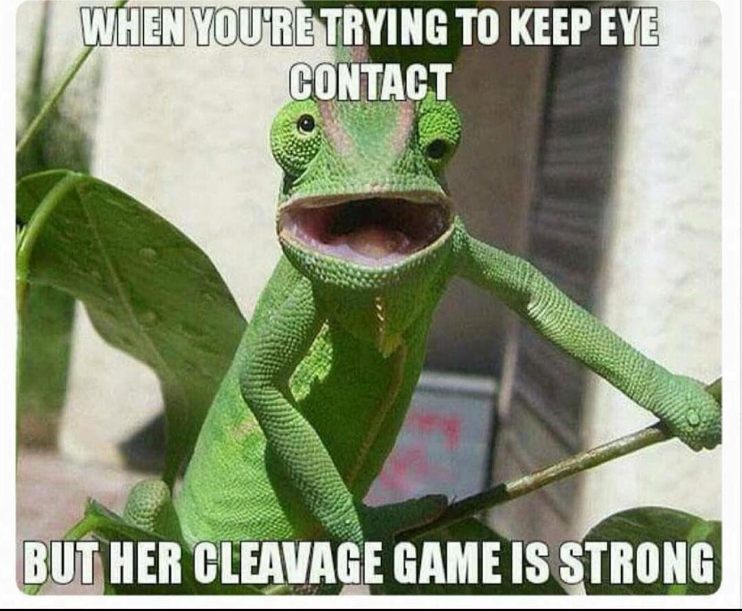 WHEN YOU'RE TRYING TO KEEP EYE CONTACT
BUT HER CLEAVAGE GAME IS STRONG