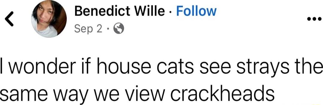 Benedict Wille Follow s Sep2 wonder if house cats see strays the same way we view crackheads