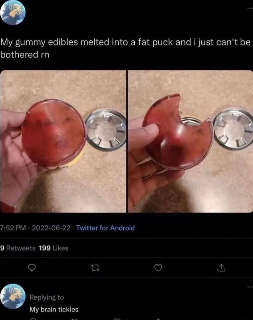 My gummy edibles melted into a fat puck and i just cant be bothered rn 97 199 My brain tickles