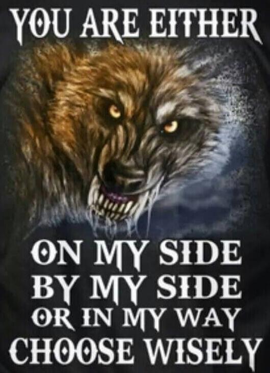 YOU ARE EITHER ON MY SIDE BY MY SIDE OR IN MY WAY CHOOSE WISELY