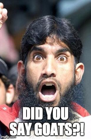 DID YOU SAY GOATS?!