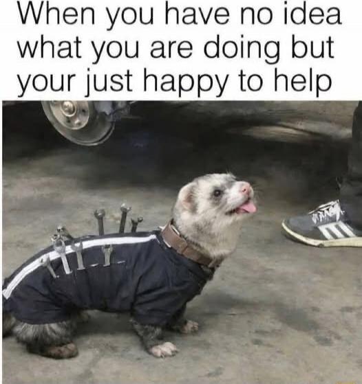 When you have no idea what you are doing but your just happy to help