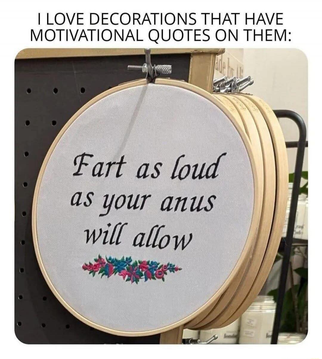 I LOVE DECORATIONS THAT HAVE MOTIVATIONAL QUOTES ON THEM:
Fart as loud as your anus will allow