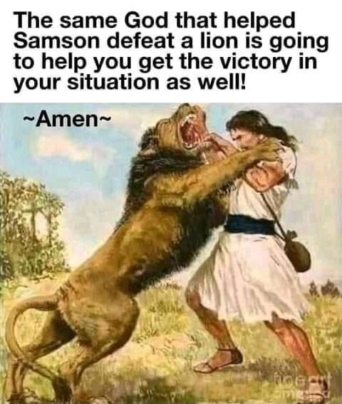 The same God that helped Samson defeat a lion is going to help you get the victory in your situation as well