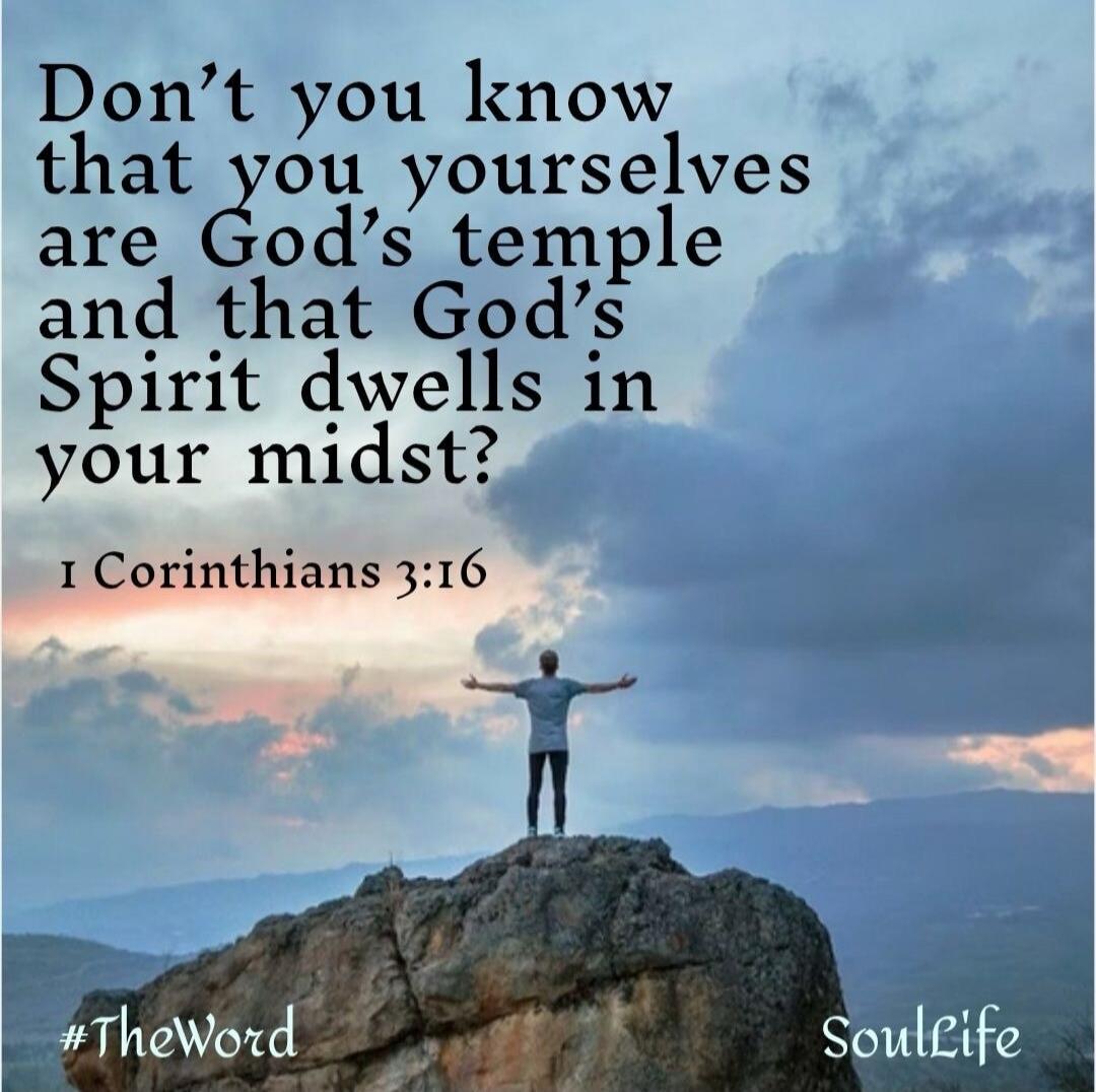 Don't you know that you yourselves are God's temple and that God's Spirit dwells in your midst? 1 Corinthians 3:16 #TheWord SoulLife