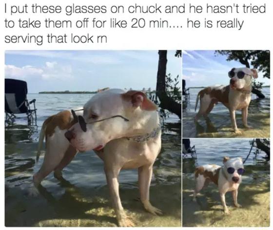 put these glasses on l to take them off for like