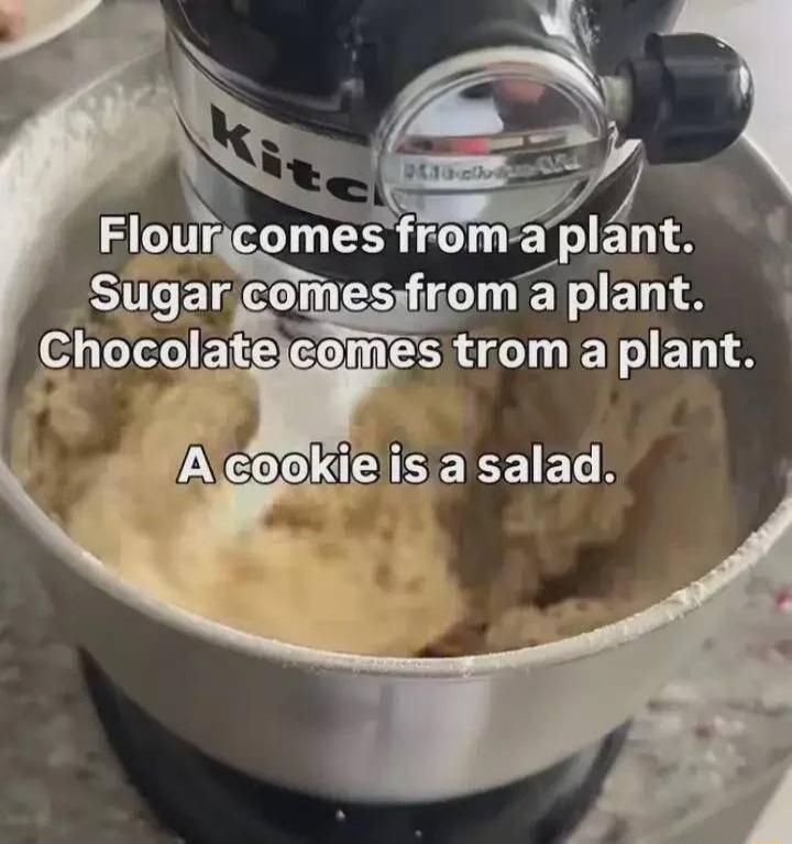 Flour comes from a plant. Sugar comes from a plant. Chocolate comes from a plant. A cookie is a salad.