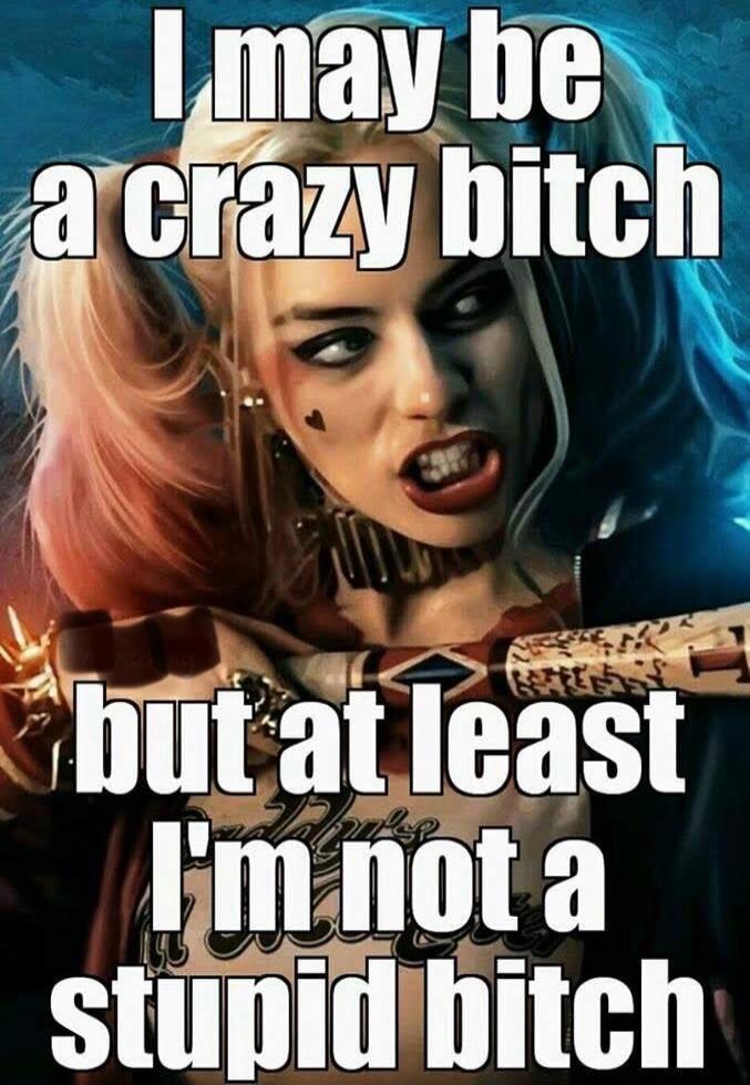 I may be a crazy bitch but at least I'm not a stupid bitch