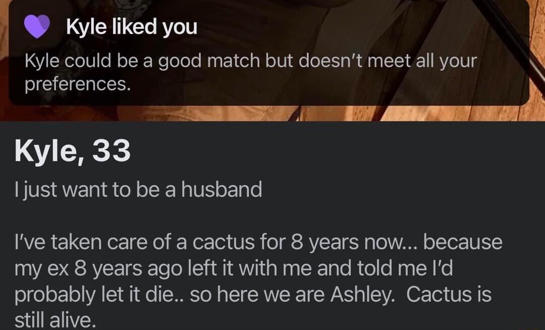 W Kyle liked you l Kyle could be a good match but doesnt meet all your preferences __d Kyle 33 just want to be a husband Ive taken care of a cactus for 8 years now because my ex 8 years ago left it with me and told me Id probably let it die so here we are Ashley Cactus is still alive