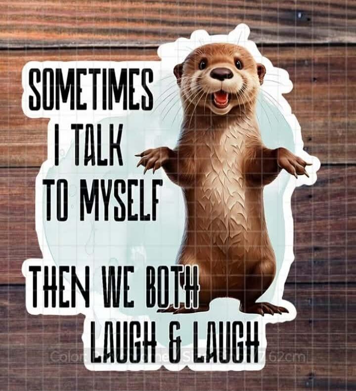 SOMETIMES I TALK TO MYSELF THEN WE BOTH LAUGH & LAUGH
